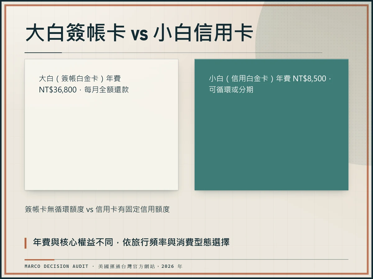 大白簽帳白金卡與小白信用白金卡的並排案件比較圖，對照年費、還款方式與核心權益差異